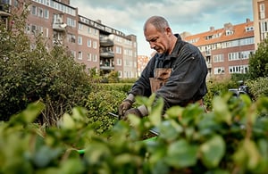 Gårdmand Jørgen ordner planter i gården_500x325